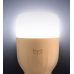 Умный светильник Xiaomi Yeelight LED Smart Bulb