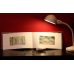 Умный светильник Xiaomi Yeelight LED Smart Bulb