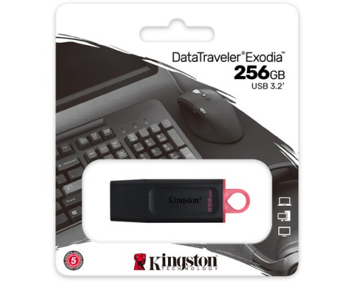 Флешка KINGSTONE DTX/256 GB USB 3.2
