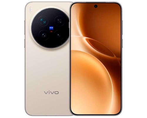 Смартфон Vivo X300 Pro (12+256) CN